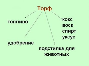 Torf 2
